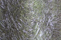 Woodspeen fibreglass roof work